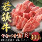 若狭牛やみつき焼肉 300g