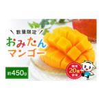 ふるさと納税 小美玉市 【先行予約】おみたんマンゴー約450g【数量限定・季節限定】19-D