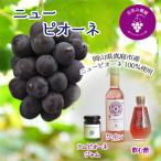 岡山 花笑み農園 ピオーネ&amp;ラムピオーネジャム&amp;ワ…