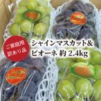 ふるさと納税 津山市 【きよとうファーム】訳ありご家庭用ピオーネとシャインマスカット/計約2.4kg(岡山県産)