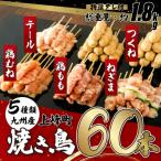 絶品 九州産焼鳥 5種盛合せ 60本