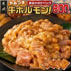 やみつき牛ホルモン800g 真空小分け