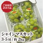 ふるさと納税 津山市 【きよとうファーム】訳あり品 シャインマスカット/約2kg(岡山県産)