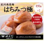 紀州南高梅はちみつ極塩分約6% 850g