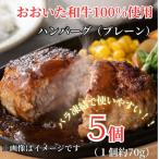 ふるさと納税 津久見市 《おおいた和牛100%使用》ちょっと贅沢おうちごはん!ハンバーグ プレーン 5個(津久見市)