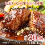 ふるさと納税 津久見市 ちょっと贅沢おうちご飯《おおいた和牛100%使用》デミハンバーグ 個包装 30個(津久見市)