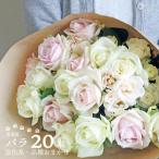萬華園のバラ 赤入り 約20本