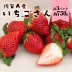 佐賀産 いちごさん3パック