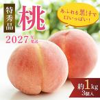 先行受付 旬の桃 特秀品 食べきりやすい3個入り