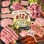 ふるさと納税 指宿市 【全12回定期便】鹿児島自慢の豚・牛・うなぎ まんぷく 定期便 (Z100-1773)