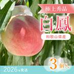ふるさと納税 古座川町 桃先行受付! 桃の王様【白鳳】 特秀品 食べきりやすい3個入り こだわり農家厳選!