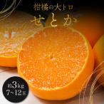 佐賀産かんきつ せとか 約3kg