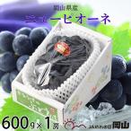 ニューピオーネ 600g×1房