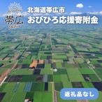 帯広市への寄付（返礼品なし）