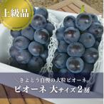 ピオーネ 大2房入 計1.3kg~ 果樹園の