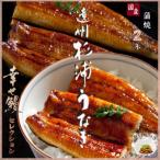 遠州杉浦うなぎ 蒲焼セット 蒲焼2本 460g-500g