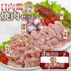 産日向鶏 焼肉セット 約3kg