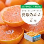 何個でも食べられる 西宇和地区八幡浜産