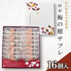 梅の穂サブレ 16個入