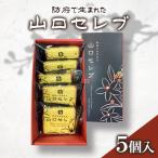 山口セレブ 5個入