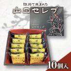 山口セレブ 10個入