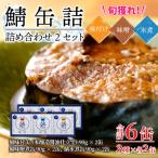 旬獲れ 鯖缶詰 3ヶ詰め合わせ 味付 味噌 水煮