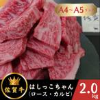 牛肉 セット いろいろな部位を楽しめて 食べごたえ抜群