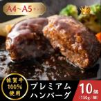 A5 A4 佐賀牛 プレミアムハンバーグ 150g×10個