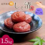 紀州南高梅 しそ漬 塩分約12% 1.5kg