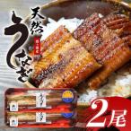 ふるさと納税 小美玉市 霞ヶ浦産天然うなぎ 蒲焼き 大 2尾(1尾当たり100〜130g)たれ付き 49-B