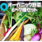 冬のオーガニック野菜セット 有機野菜6~7種前後