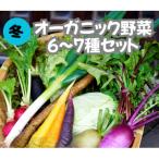 ふるさと納税 京丹後市 【先行予約】12月より順次発送《てんとうむしばたけ》冬のオーガニック野菜セット　有機野菜6〜7種前後