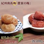紀州南高梅 農家の梅 はちみつ梅 しそ漬セット 各500g