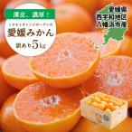 西宇和地区八幡浜産 愛媛みかん5kg YWTAP117