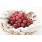 クイーンルージュ R 秀品 約2kg〈2026年10月中旬~