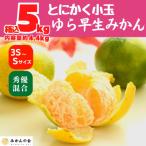 ゆら早生 みかん 小玉 箱込5kg