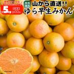 ゆら早生 みかん 山から直送 箱込5kg