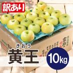 ふるさと納税 青森市 【25年8月より順次発送】平均糖度12度以上! 黄王 約10kg 訳あり クール便