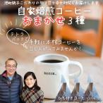 自家焙煎本格コーヒーおまかせ3種 テトラパックで手軽に飲…