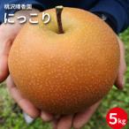ふるさと納税 飯島町 【桃沢晴香園】にっこり梨 約5kg(7玉)