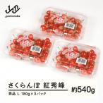 ふるさと納税 山辺町 先行予約 さくらんぼ 紅秀峰 秀品 L 約540g 令和7年産 山形県産 tf-bspsl540