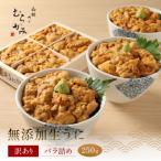 ふるさと納税 北斗市 「うにむらかみ」無添加生うに 訳ありバラ詰め 250g