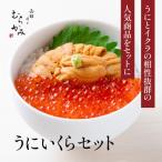 ふるさと納税 北斗市 「うにむらかみ」うに屋のうに・いくらセット