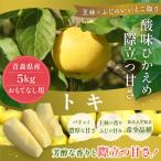 青森りんご トキ 約5kg