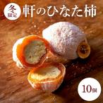 軒のひなた柿10個入