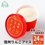 ふるさと納税 根羽村 信州りんごアイス 24個セット りんごミルク