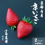 高級 京いちご 約250g×2パック