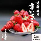 高級いちご 完熟 朝採れ 1箱