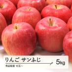 ふるさと納税 山辺町 先行予約 りんご サンふじ 秀品程度 約5kg(10〜20個程度) 山形県産 tf-risfs5