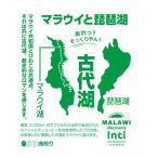 ~琵琶湖 大津 ゆかりの~ マラウイ コーヒードリップバッグ×…